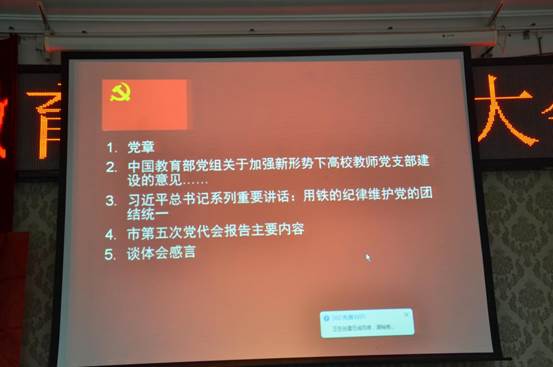 说明:主题党日活动 (3)